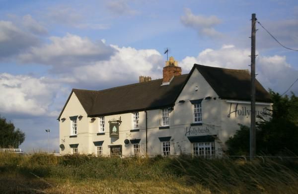 Hollybush from across the fields.. (External). Published on 14-08-2012