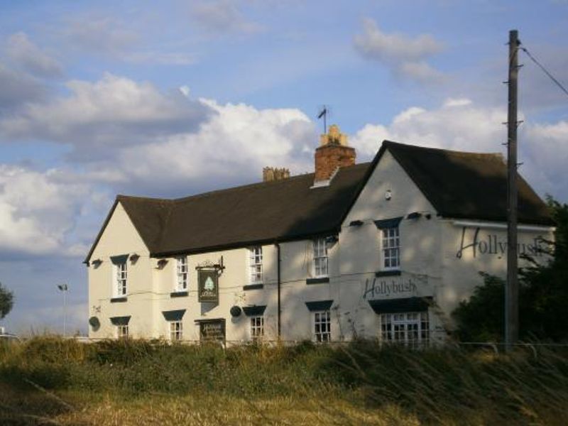 Hollybush from across the fields.. (External). Published on 14-08-2012