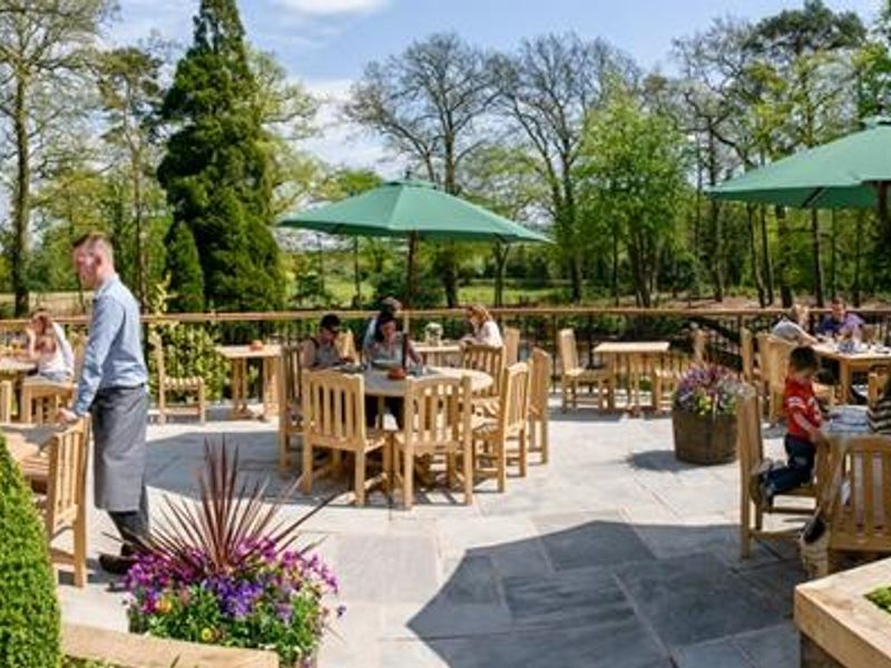 Panoramic Beer Garden view - 2018. (Pub, External, Garden). Published on 06-01-2018 
