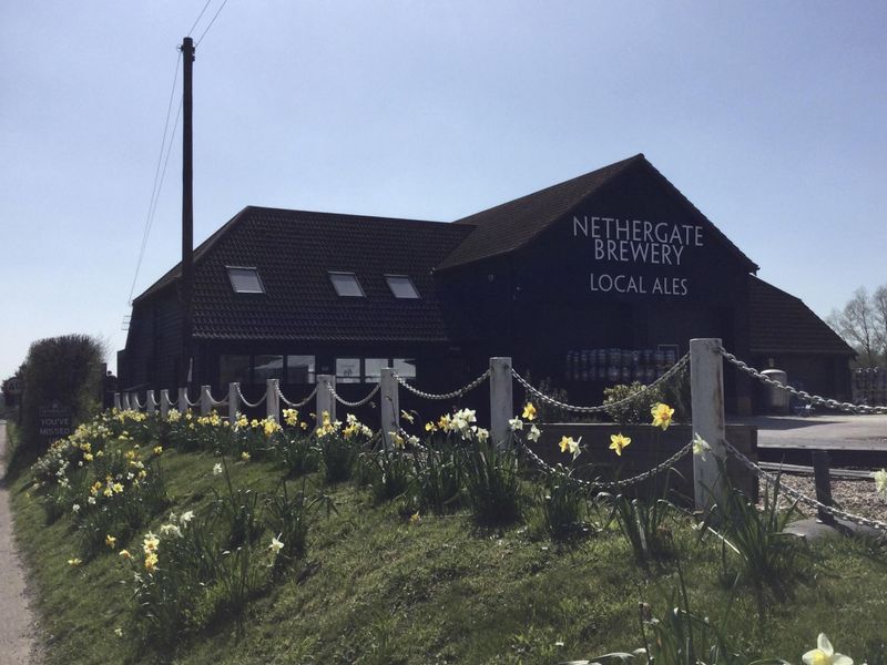 Published on 26-03-2026