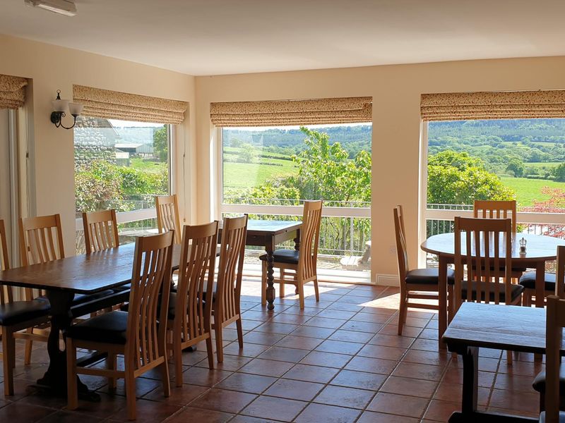 May 2022. (Restaurant). Published on 13-05-2025 