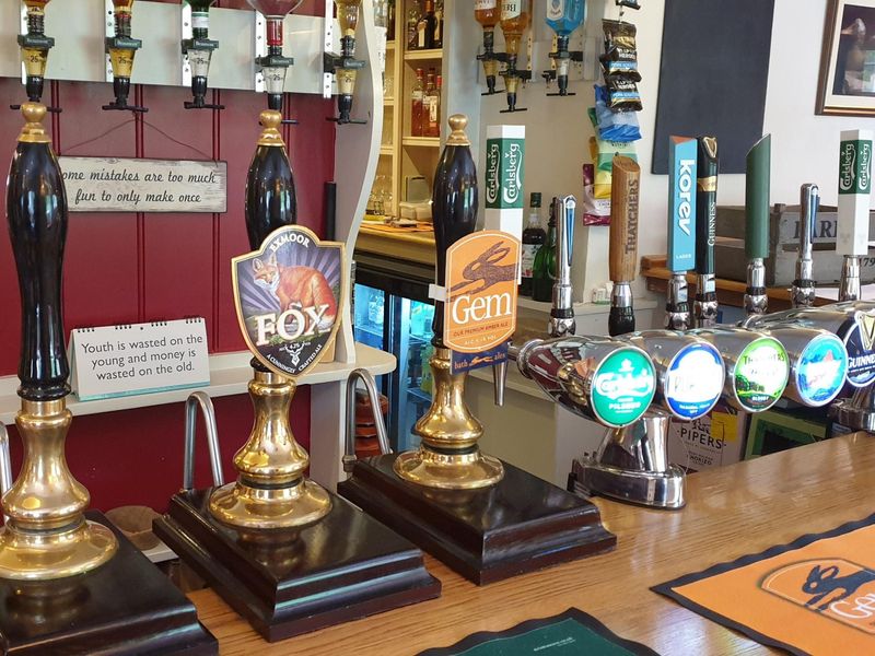 May 2022. (Bar). Published on 28-10-2024 