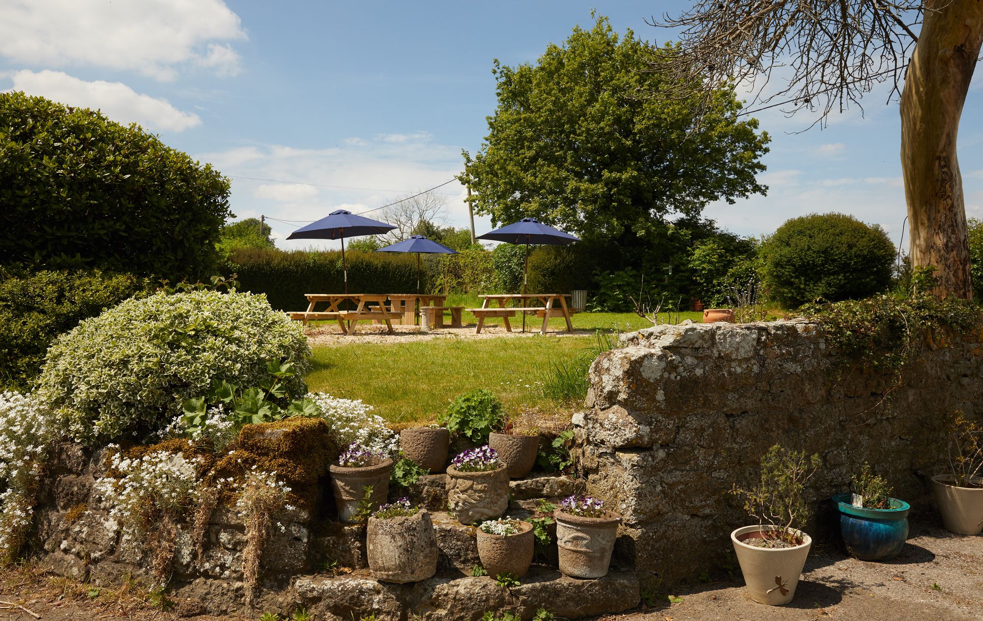 (External, Garden). Published on 30-01-2024