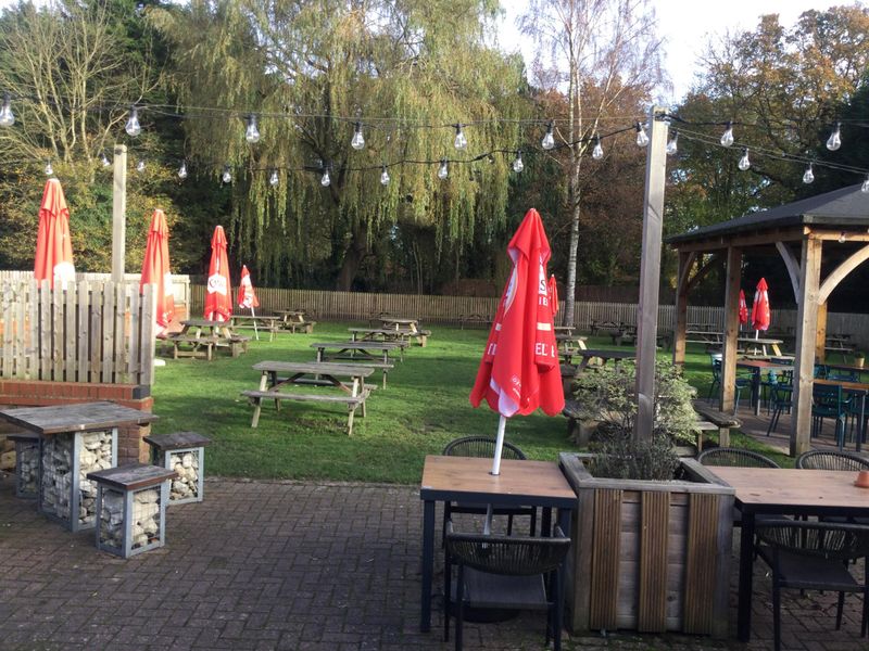 (Garden). Published on 11-11-2024 