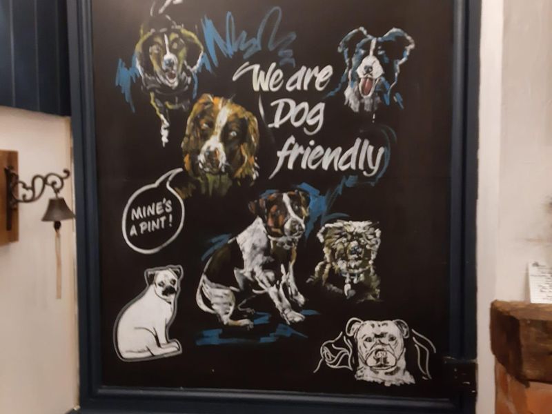 Published on 26-03-2026 