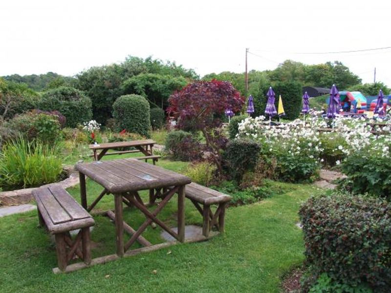 (Garden). Published on 07-09-2015 