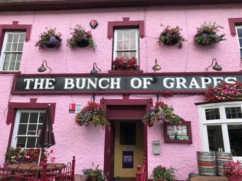 The Bunch of Grapes, Newscastle Emlyn. (Pub, External, Sign). Published on 21-12-2018 