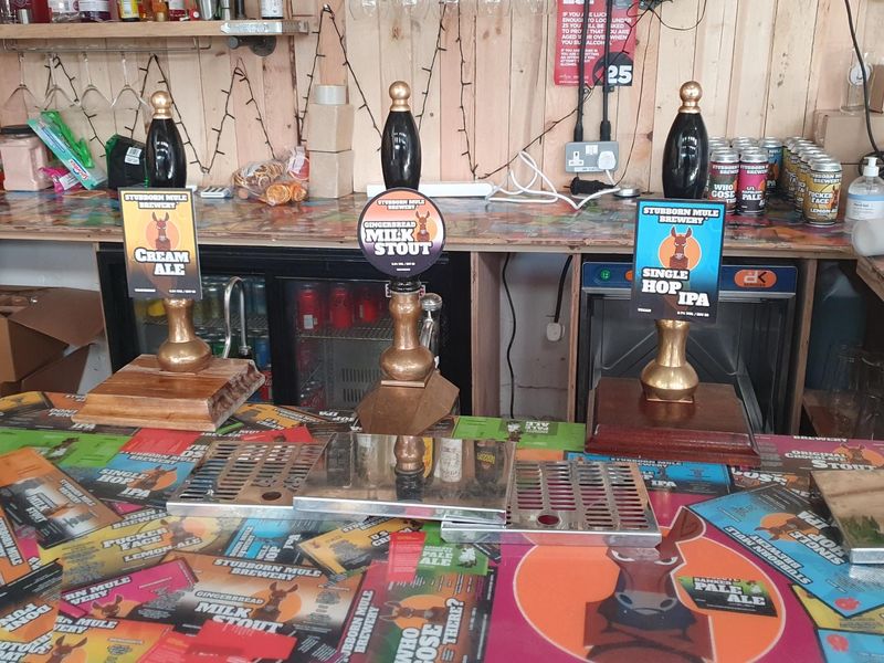 Pumps - three. (Bar). Published on 16-01-2023 