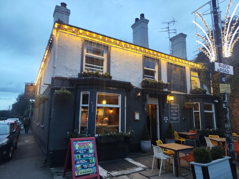 The Beech, January 2026. (Pub, Key). Published on 25-01-2026