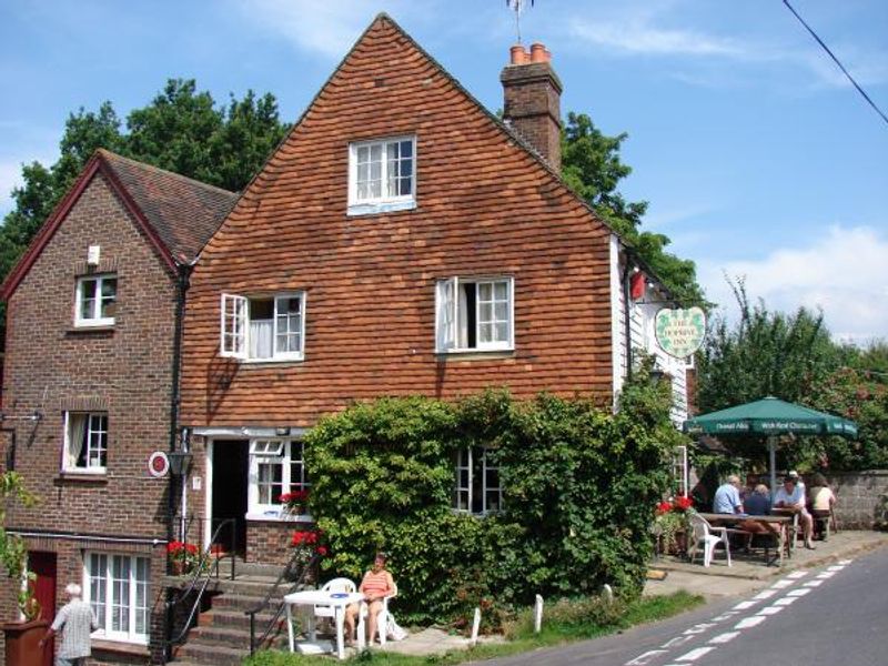 Hopbine in the sun. (Pub, Key). Published on 05-03-2015