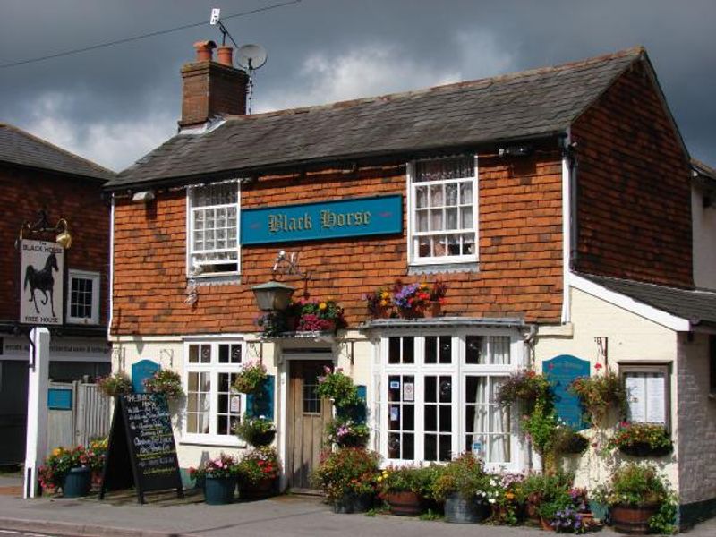Black Horse in bloom. (Pub, Key). Published on 10-03-2015
