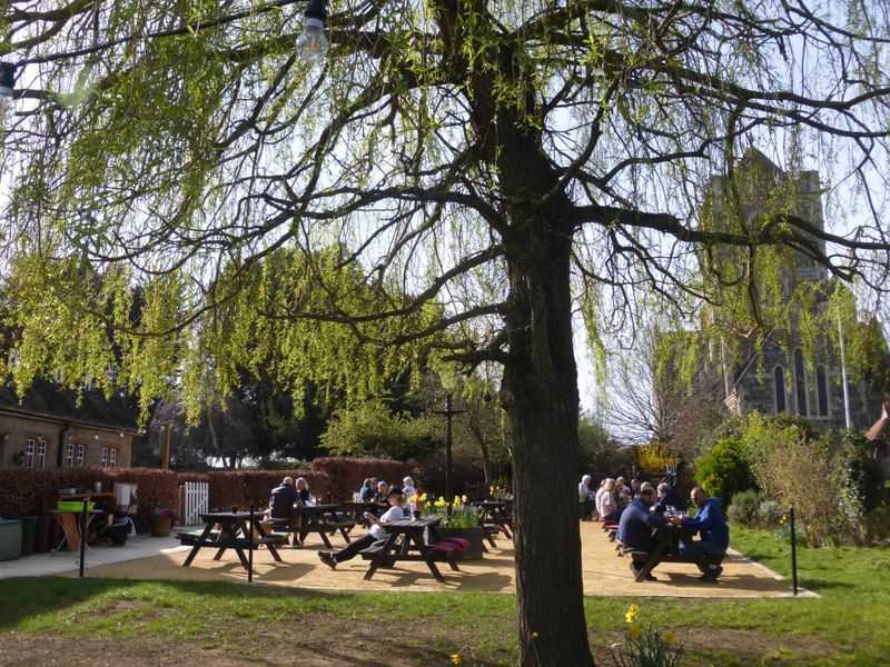 (Garden). Published on 31-03-2022 