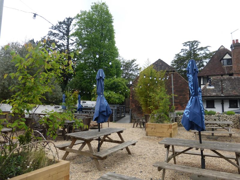 (Garden). Published on 08-05-2026 