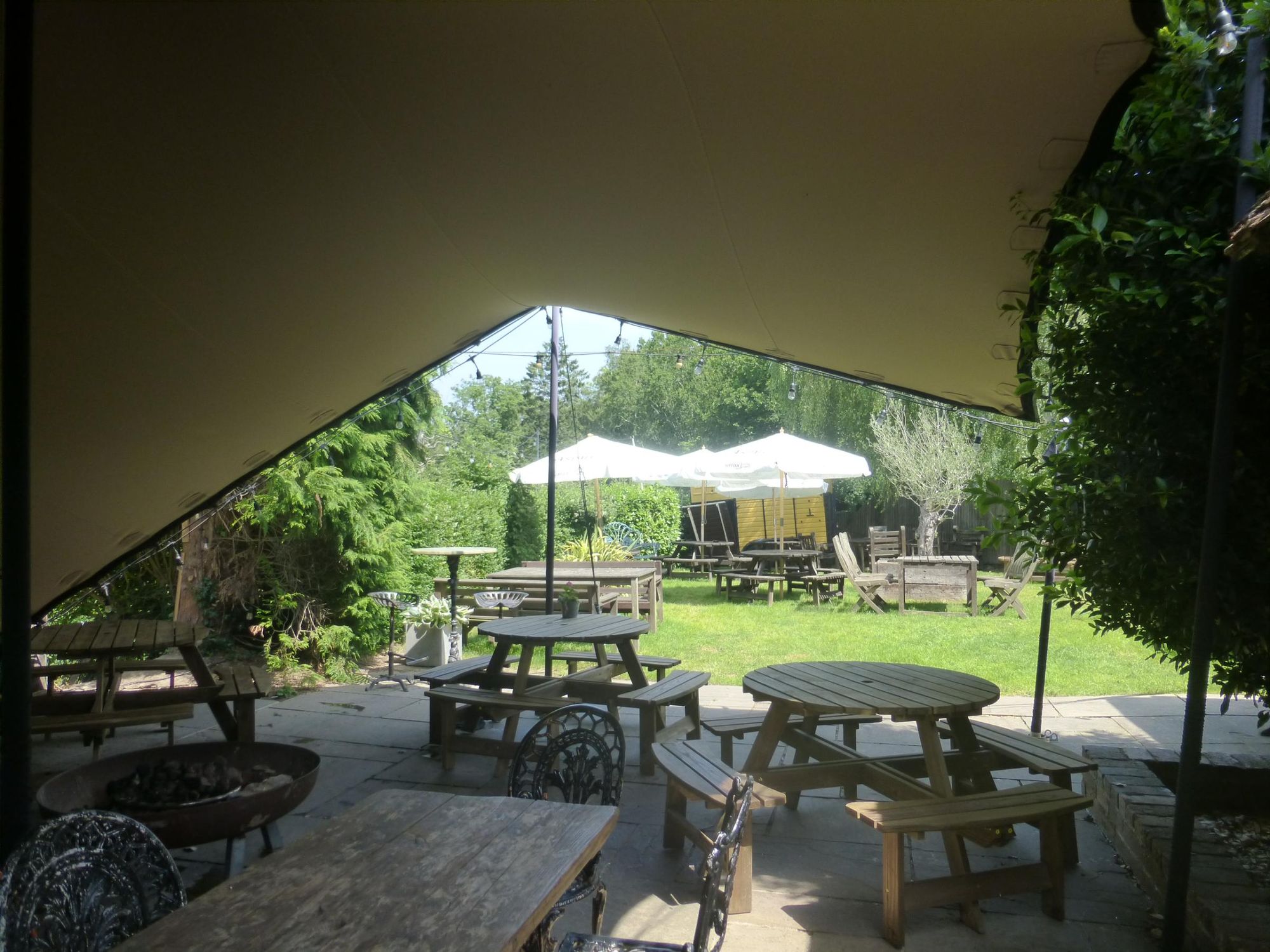 (Garden). Published on 23-06-2026
