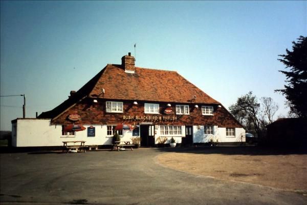 Bush, Blackbird & Thrush, East Peckham. Millennium collection. (Pub). Published on 13-02-2015