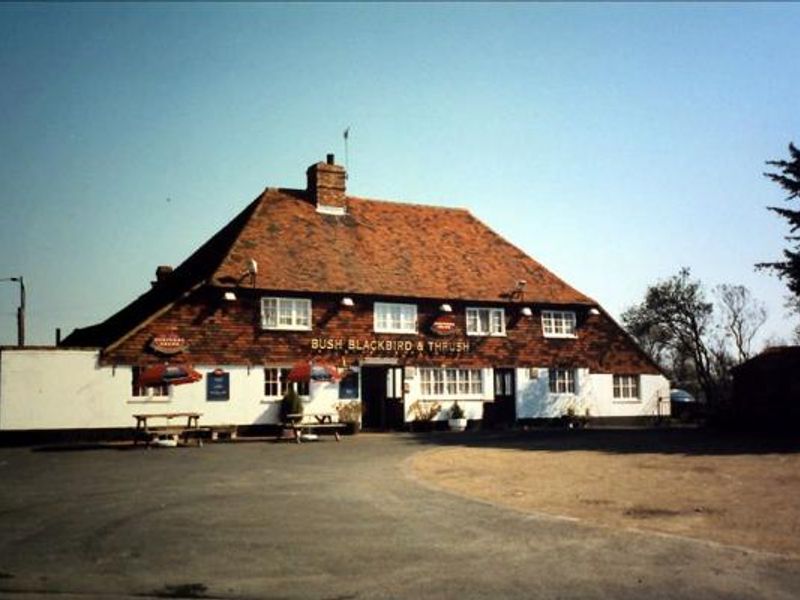 Bush, Blackbird & Thrush, East Peckham. Millennium collection. (Pub). Published on 13-02-2015 