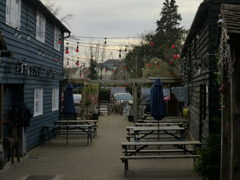 (Garden). Published on 20-02-2023 