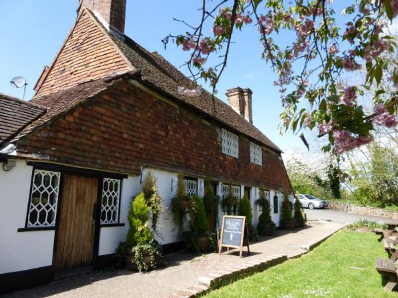 Plough in bloom. (External). Published on 30-04-2015 