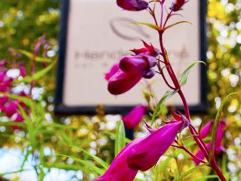 Henderson's Bistro, Aysgarth. (Sign, Key). Published on 02-03-2015